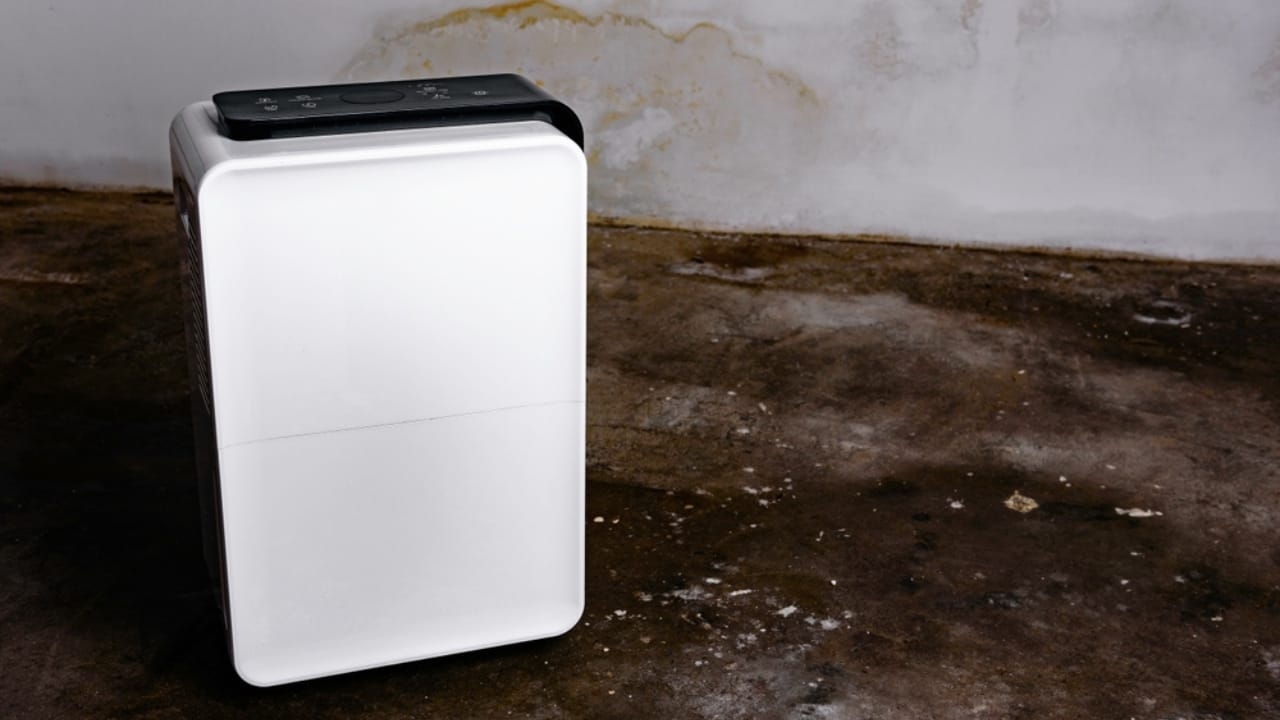 8 Spots to Avoid for Dehumidifiers (and Where to Place Them Instead) 9 8 Spots to Avoid for Dehumidifiers (and Where to Place Them Instead) - dehumidifier in basement ss2360347401