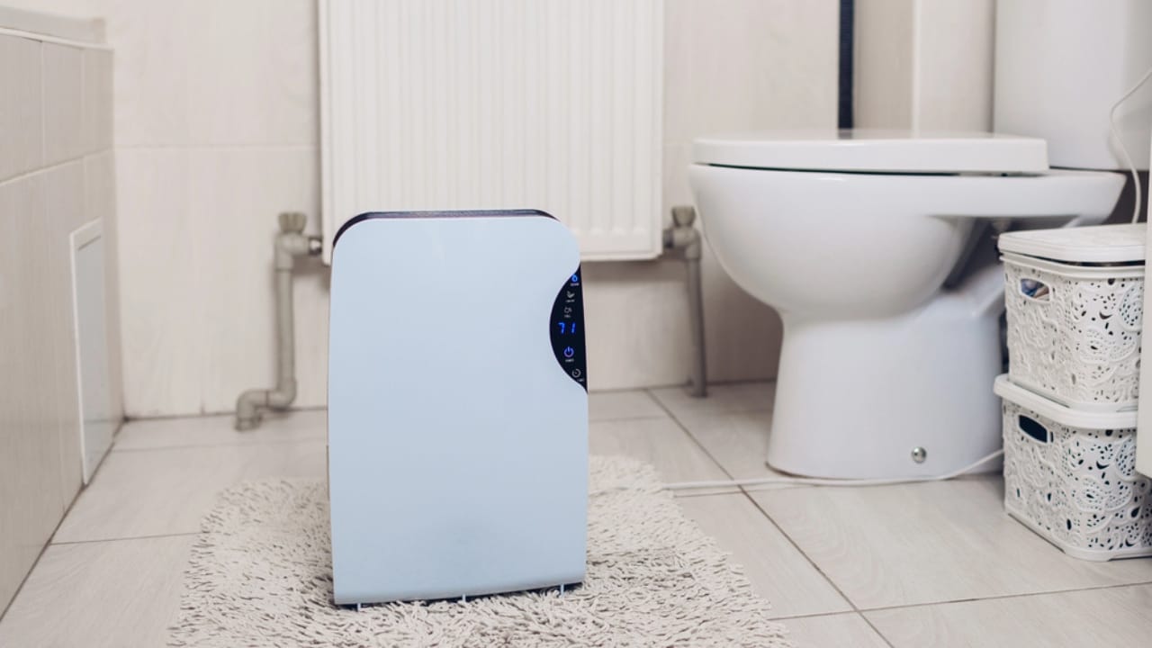 8 Spots to Avoid for Dehumidifiers (and Where to Place Them Instead) 5 8 Spots to Avoid for Dehumidifiers (and Where to Place Them Instead) - dehumidifier in bathroom dp254291242