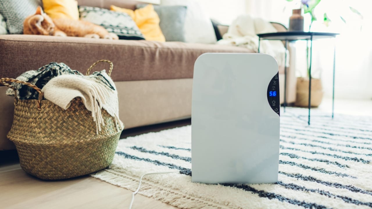 13 Clever Ways to Dry Clothes Indoors Without a Dryer - dehumidifier in carpet ss1405244486