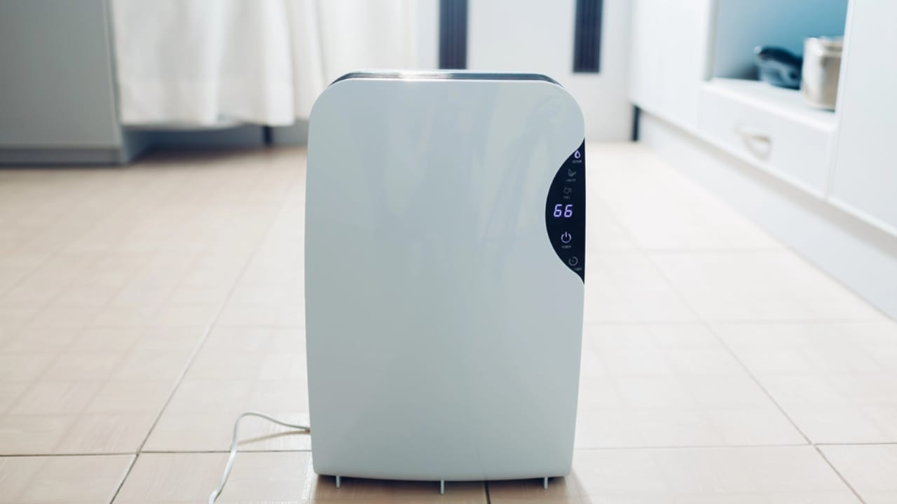 8 Spots to Avoid for Dehumidifiers (and Where to Place Them Instead) 8 8 Spots to Avoid for Dehumidifiers (and Where to Place Them Instead) - dehumidifier in flat dp237461602