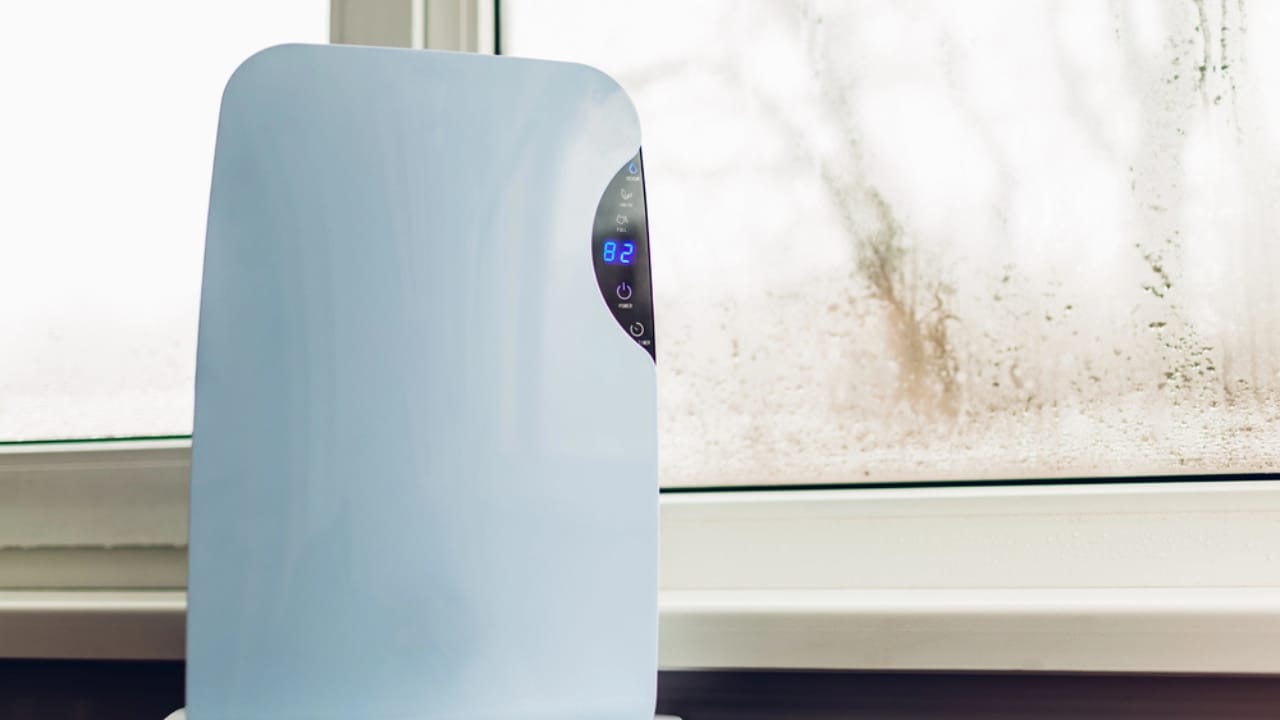 8 Spots to Avoid for Dehumidifiers (and Where to Place Them Instead) 7 8 Spots to Avoid for Dehumidifiers (and Where to Place Them Instead) - dehumidifier in window dp231378854
