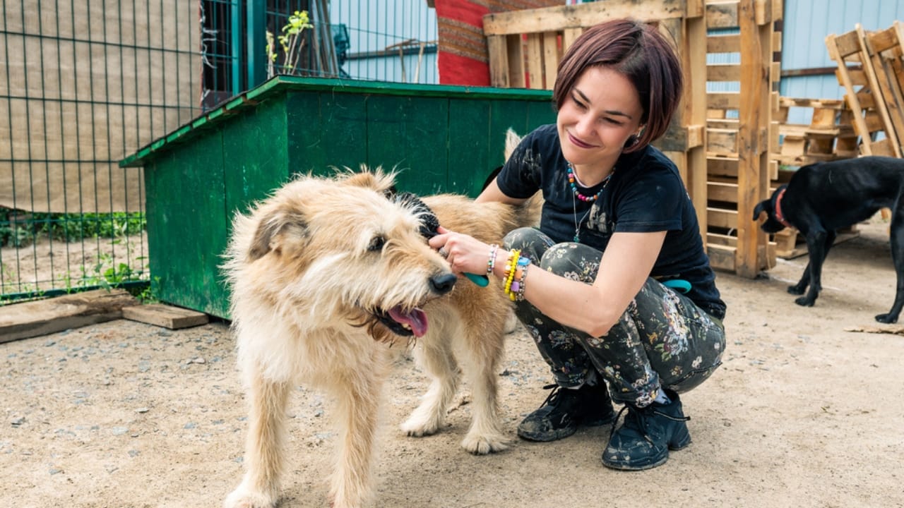 Why ‘Adopt, Don’t Shop’ Matters: 18 Reasons to Skip the Breeder 15 Why ‘Adopt, Don’t Shop’ Matters: 18 Reasons to Skip the Breeder - dog with woman dp649823108