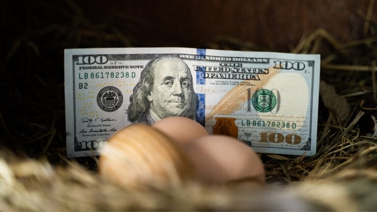 The $1,000-a-Month Homesteader: 10 Income Ideas to Grow on Your Land 9 The $1,000-a-Month Homesteader: 10 Income Ideas to Grow on Your Land - eggs farm money ss2245397869