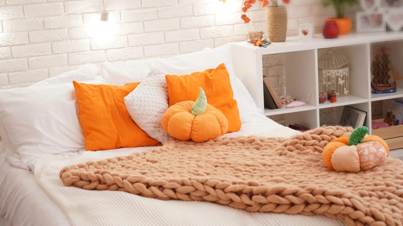 Fall Decor on a Budget: 18 Creative Ways to Keep Your Space Warm & Inviting 13 Fall Decor on a Budget: 18 Creative Ways to Keep Your Space Warm & Inviting - fall pillow dp274994948
