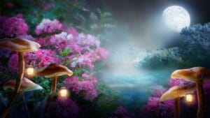 14 Fairytale Plants to Make Your Garden Magical 1 14 Fairytale Plants to Make Your Garden Magical - fantasy mushroom dp474371978