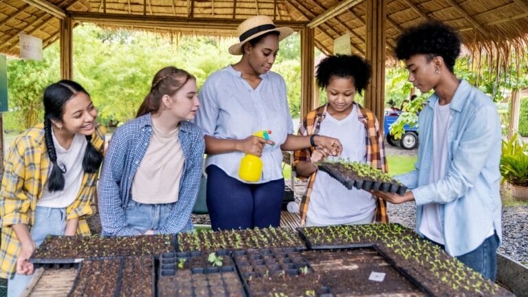 Homesteading without Land: 19 Ways to Start Today 2 Homesteading without Land: 19 Ways to Start Today - farm class ss2176172823