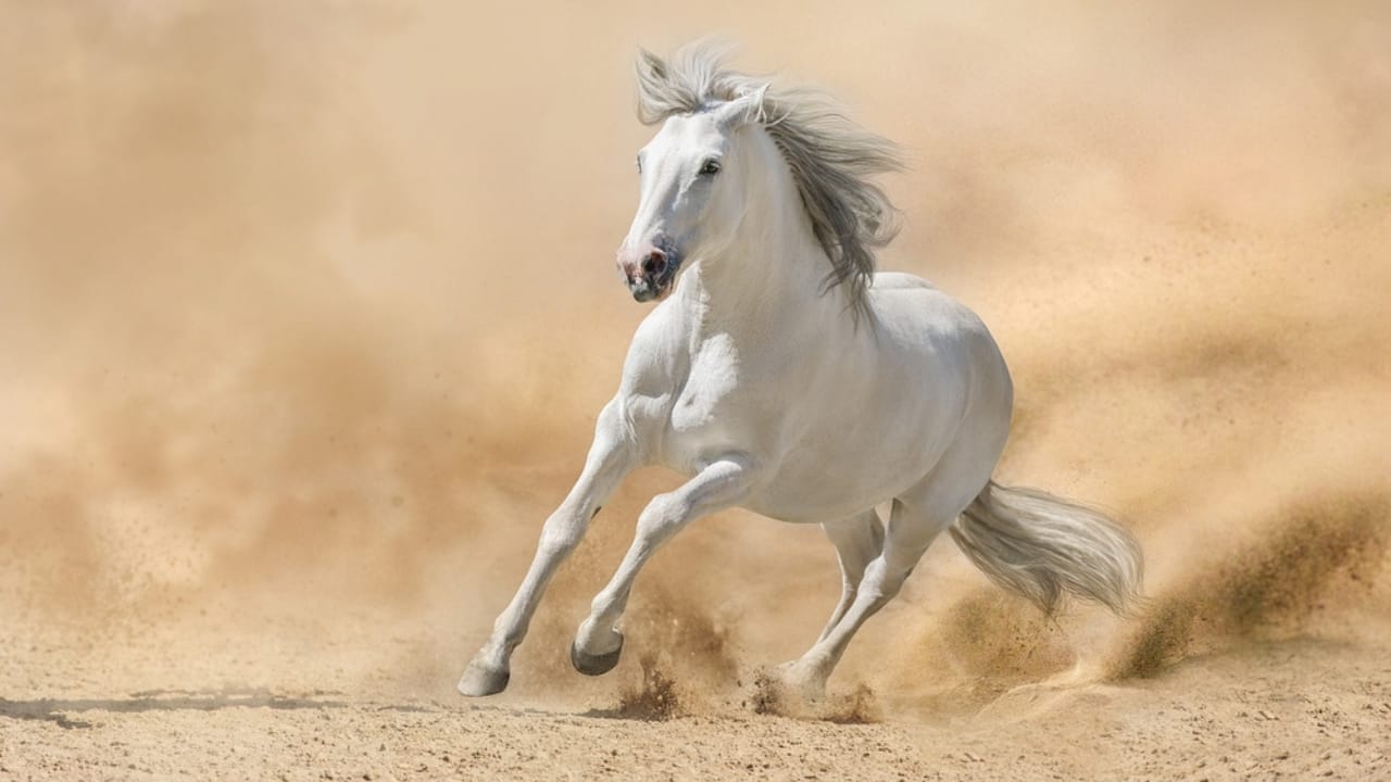 15 Wild Horse Facts Straight from History’s Pages 13 15 Wild Horse Facts Straight from History’s Pages - galloping horse ss2321075387