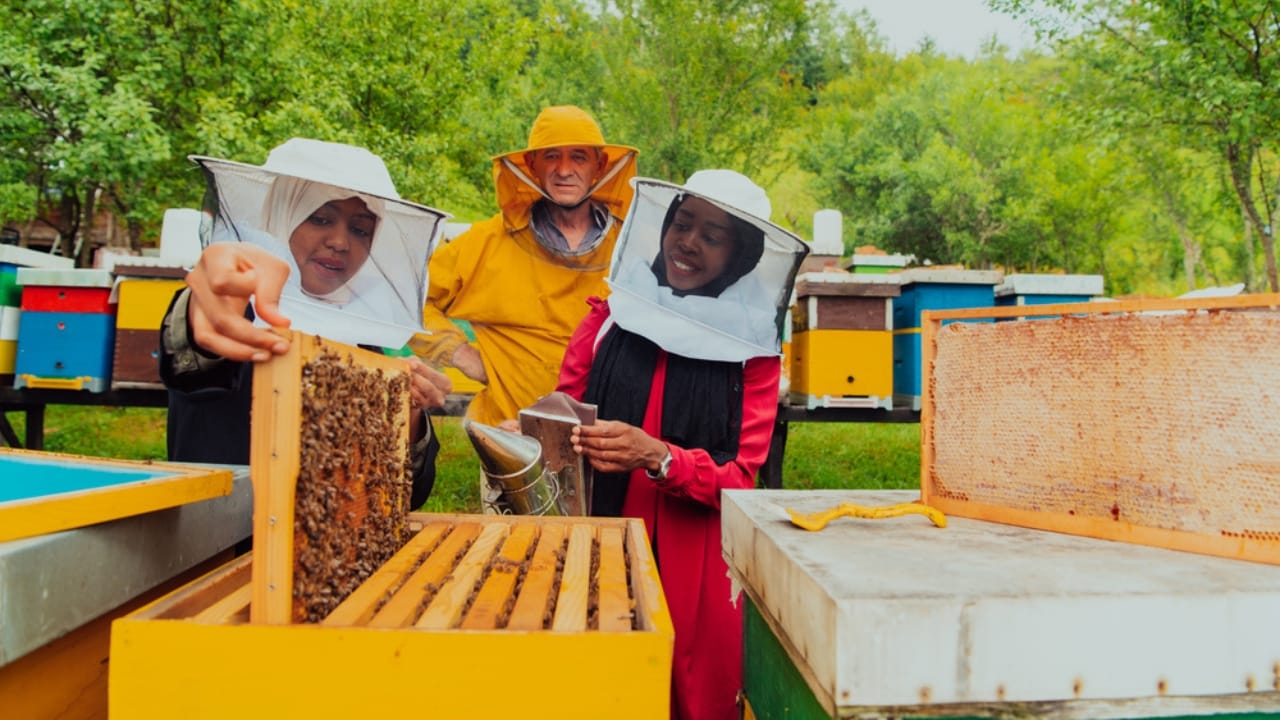 30 Rookie Beekeeping Mistakes to Avoid 25 30 Rookie Beekeeping Mistakes to Avoid - gear dp665145548