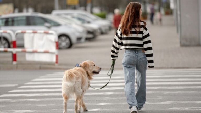 15 Walkable Cities Where Pedestrians Reign Supreme 10 15 Walkable Cities Where Pedestrians Reign Supreme - golden retriever with woman ss2459298249