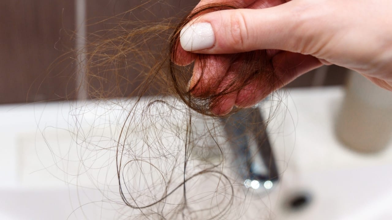 17 Items That Don’t Belong in Your Compost Bin 14 17 Items That Don’t Belong in Your Compost Bin - hair fall ss2459427857