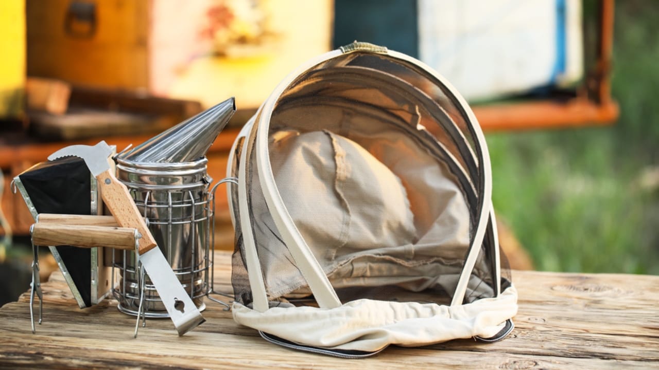 30 Rookie Beekeeping Mistakes to Avoid 26 30 Rookie Beekeeping Mistakes to Avoid - hive tool dp502272890