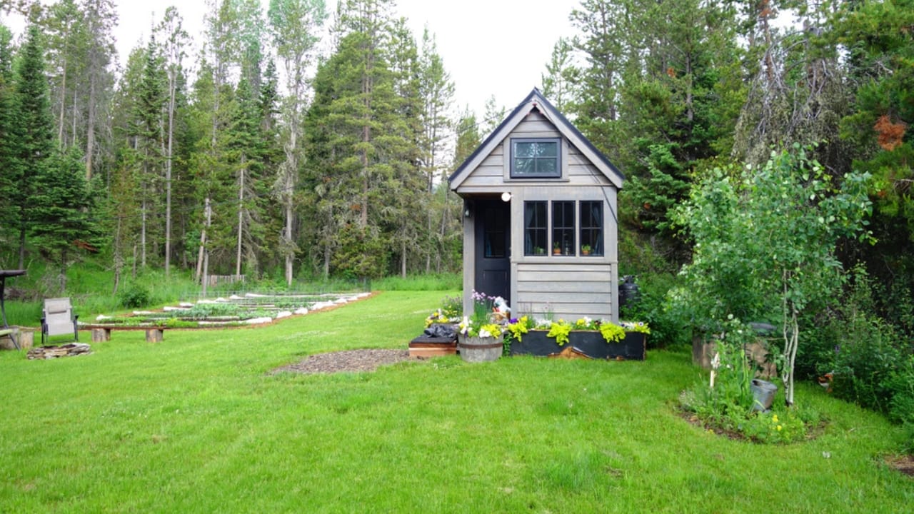 Micro Homesteading Made Easy: A Beginner's Guide to Backyard Abundance 9 Micro Homesteading Made Easy: A Beginner's Guide to Backyard Abundance - home microsteading ss1540879577