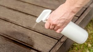 The Vinegar Hack Homeowners are Using to Beat Ants 1 The Vinegar Hack Homeowners are Using to Beat Ants - homemade ant repellent ss2071006622