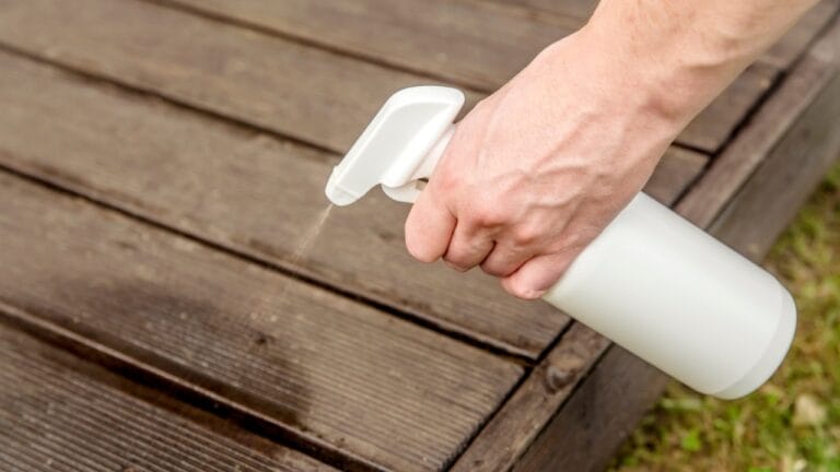 The Vinegar Hack Homeowners are Using to Beat Ants - homemade ant repellent ss2071006622