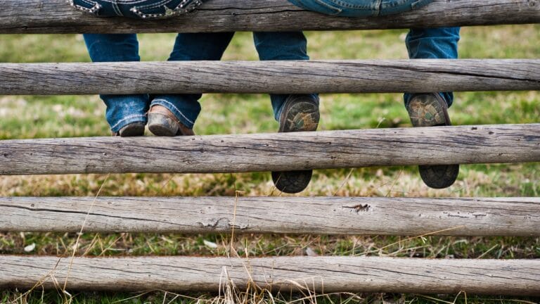 Homesteading With a Full-Time Job: Can You Really Have It All? 7 Homesteading With a Full-Time Job: Can You Really Have It All? - homesteading ss2517447809