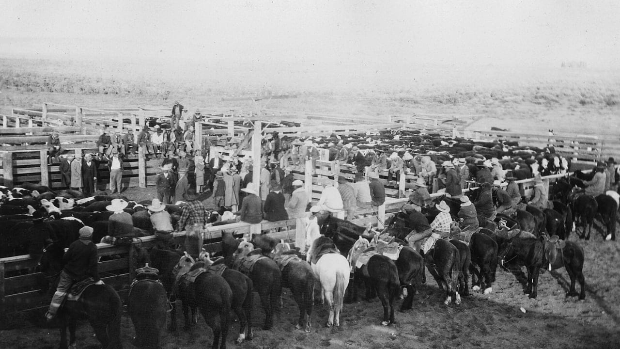 15 States That Embody the Spirit of Cowboys & the Old West 11 15 States That Embody the Spirit of Cowboys & the Old West - idaho cowboy wc