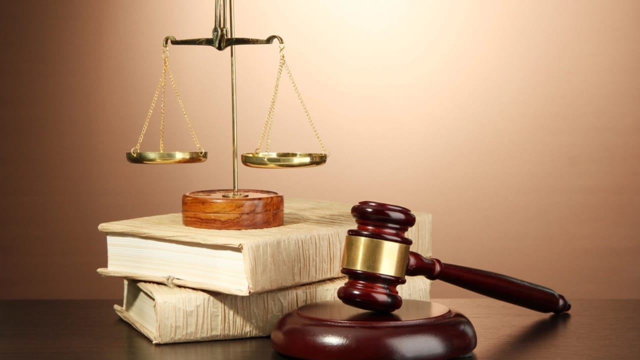 With Fewer Than 10 Left, Victoria Nearly Burned These Orchids to Extinction 3 With Fewer Than 10 Left, Victoria Nearly Burned These Orchids to Extinction - justice law dp18697169