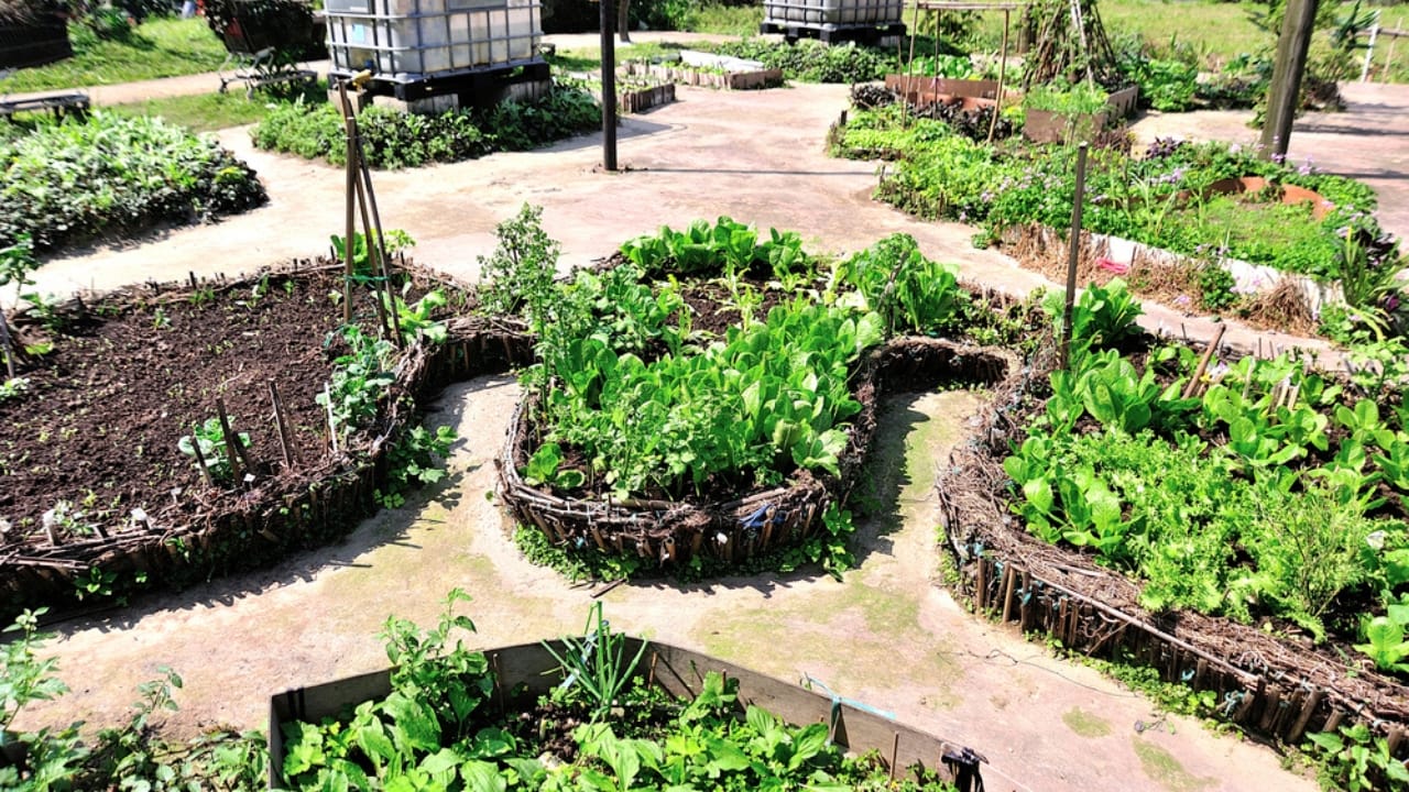 Turn Your Yard into a Thriving Oasis with These 15 Vegetable Garden Ideas 5 Turn Your Yard into a Thriving Oasis with These 15 Vegetable Garden Ideas - keyhole garden dp165460818
