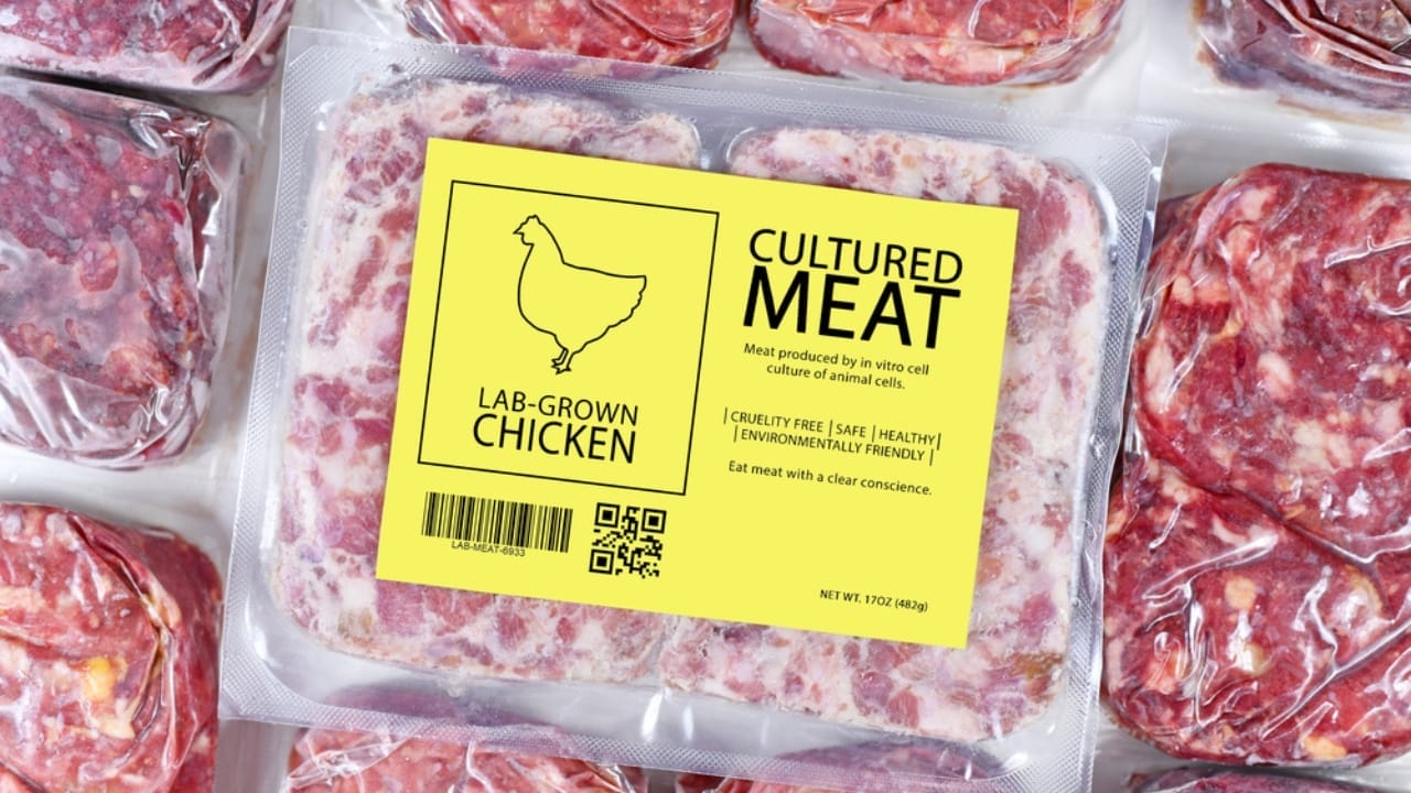Lab-Grown Chicken Lands on Shelves: Your Guide to Spotting Cultivated Meat 7 Lab-Grown Chicken Lands on Shelves: Your Guide to Spotting Cultivated Meat - lab cultured meat ss1716161299