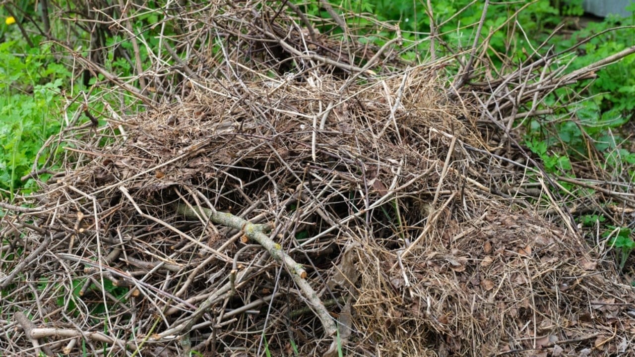 17 Items That Don’t Belong in Your Compost Bin 11 17 Items That Don’t Belong in Your Compost Bin - large branches ss2311427069