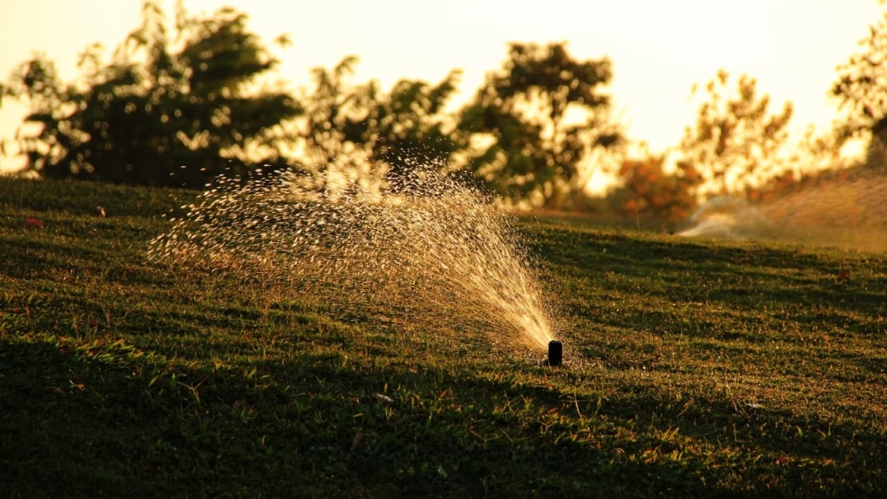 13 Steps in Leveling a Yard by Hand: Tools, Tips & Best Practices 10 13 Steps in Leveling a Yard by Hand: Tools, Tips & Best Practices - lawn watering evening ss2505183739