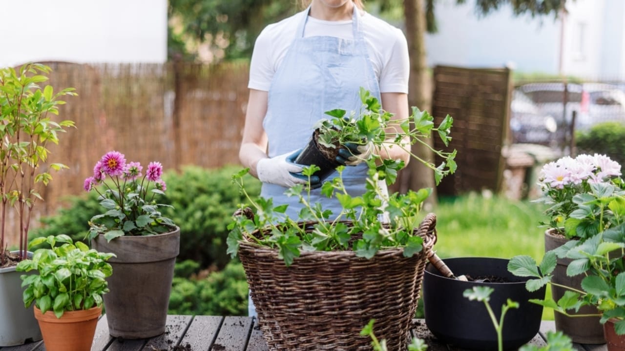 Turn Old Wicker Baskets into Beautiful Bouquets for Your Home 5 Turn Old Wicker Baskets into Beautiful Bouquets for Your Home - making flower basket ss2464752131