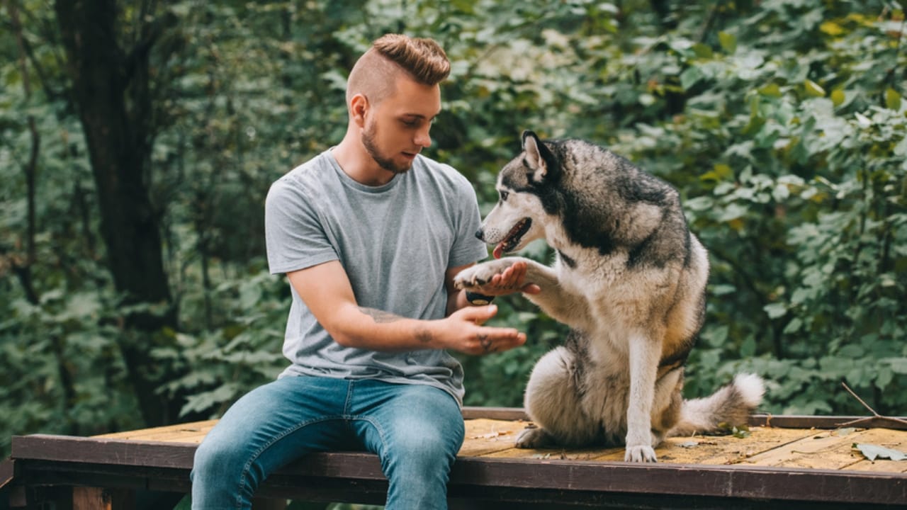 25 Sayings About Old Dogs That’ll Warm Your Heart 26 25 Sayings About Old Dogs That’ll Warm Your Heart - man holding dog paw dp210019532