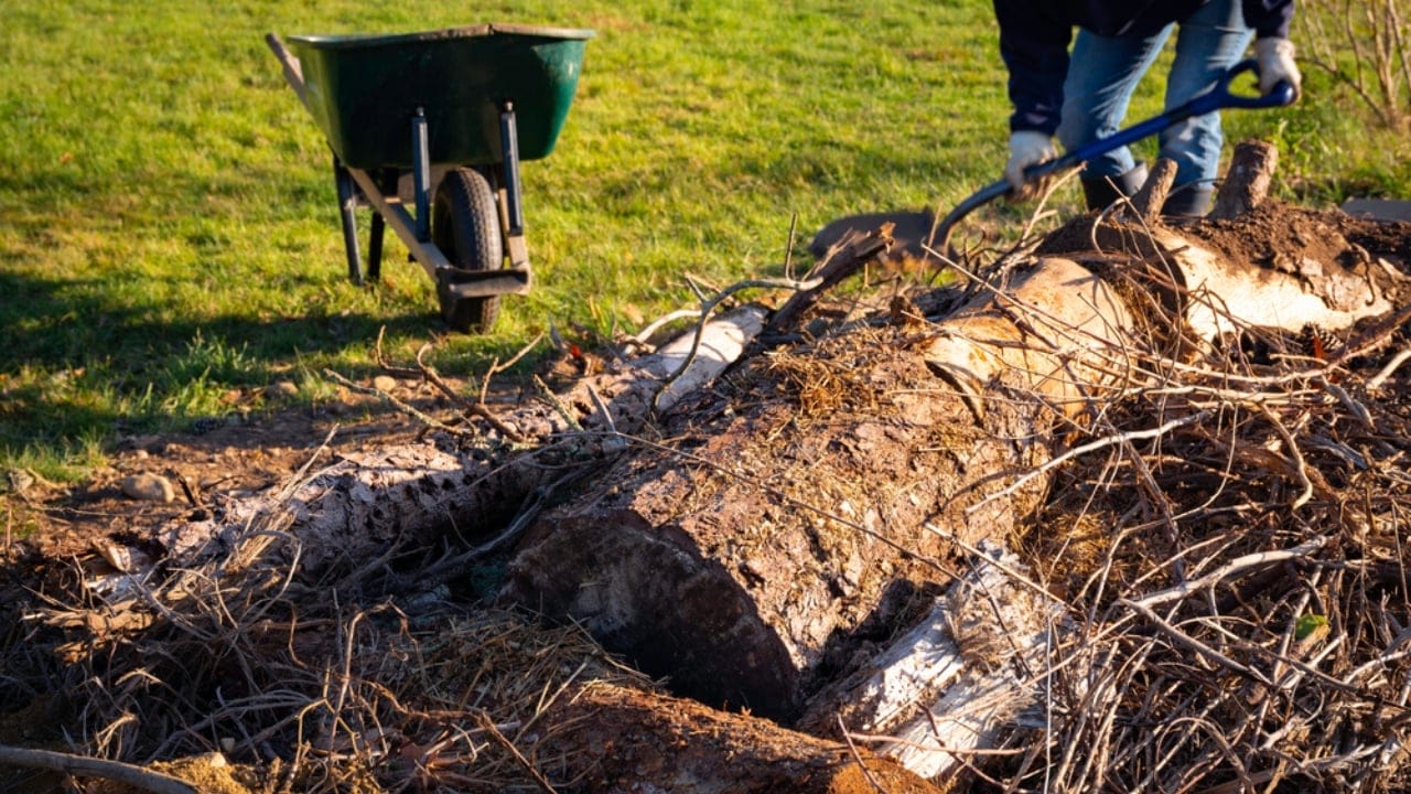 Turn Yard Waste into a Thriving Garden with Hugelkultur 2 Turn Yard Waste into a Thriving Garden with Hugelkultur - man making hugelkultur ss1858749265