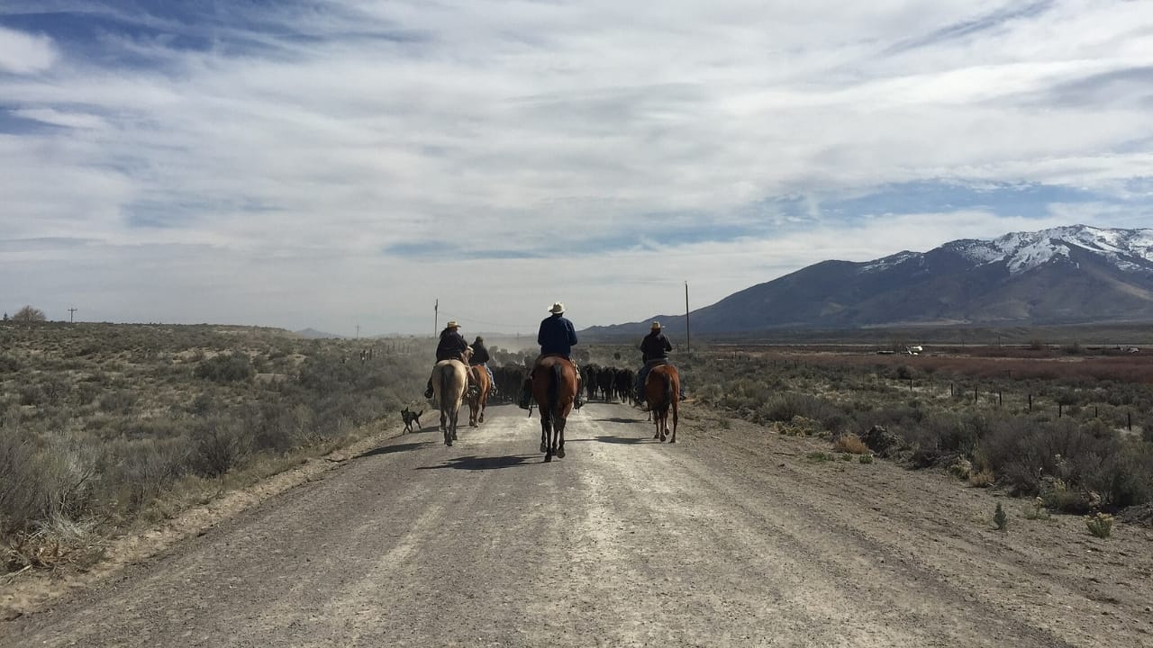 15 States That Embody the Spirit of Cowboys & the Old West - nevada cowboy wc