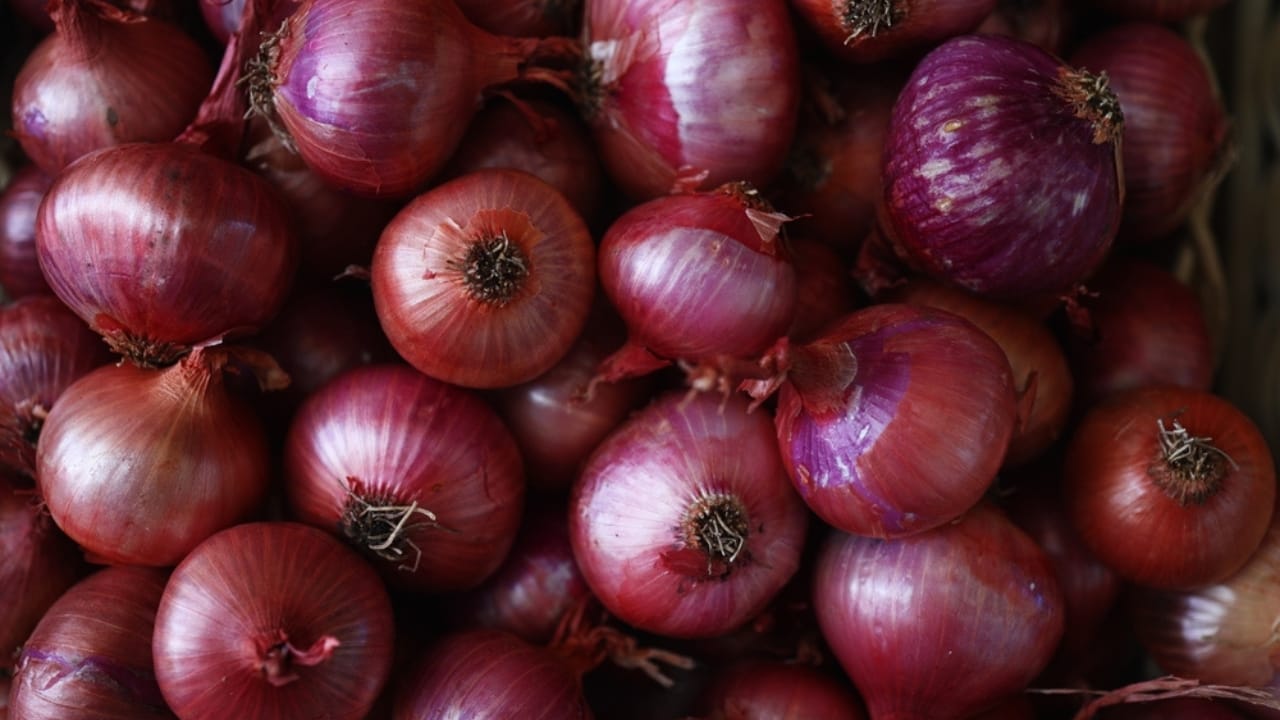 13 Scents to Keep Squirrels & Chipmunks Out of Your Garden 14 13 Scents to Keep Squirrels & Chipmunks Out of Your Garden - onions ss2512813325