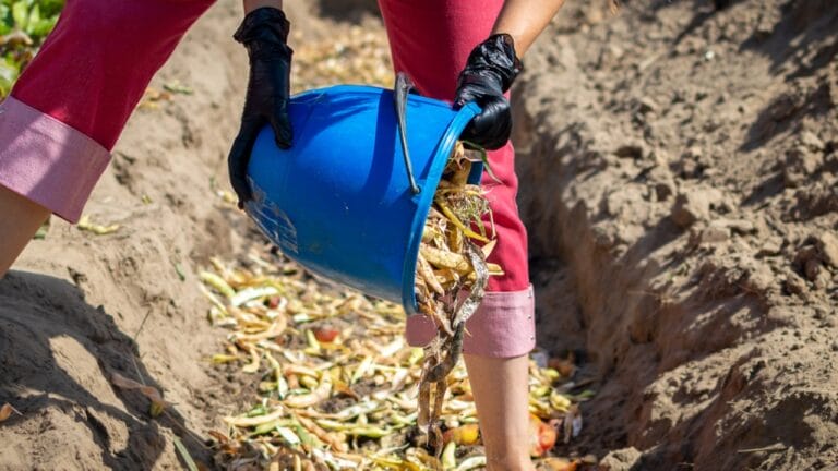 Composting Made Simple: Turn Waste into Garden Gold 5 Composting Made Simple: Turn Waste into Garden Gold - organic waste dp406617546