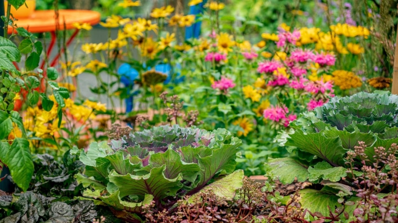 How to Grow More with Less: 12 Permaculture Principles for a Low-Maintenance Garden - permaculture ss2399772457