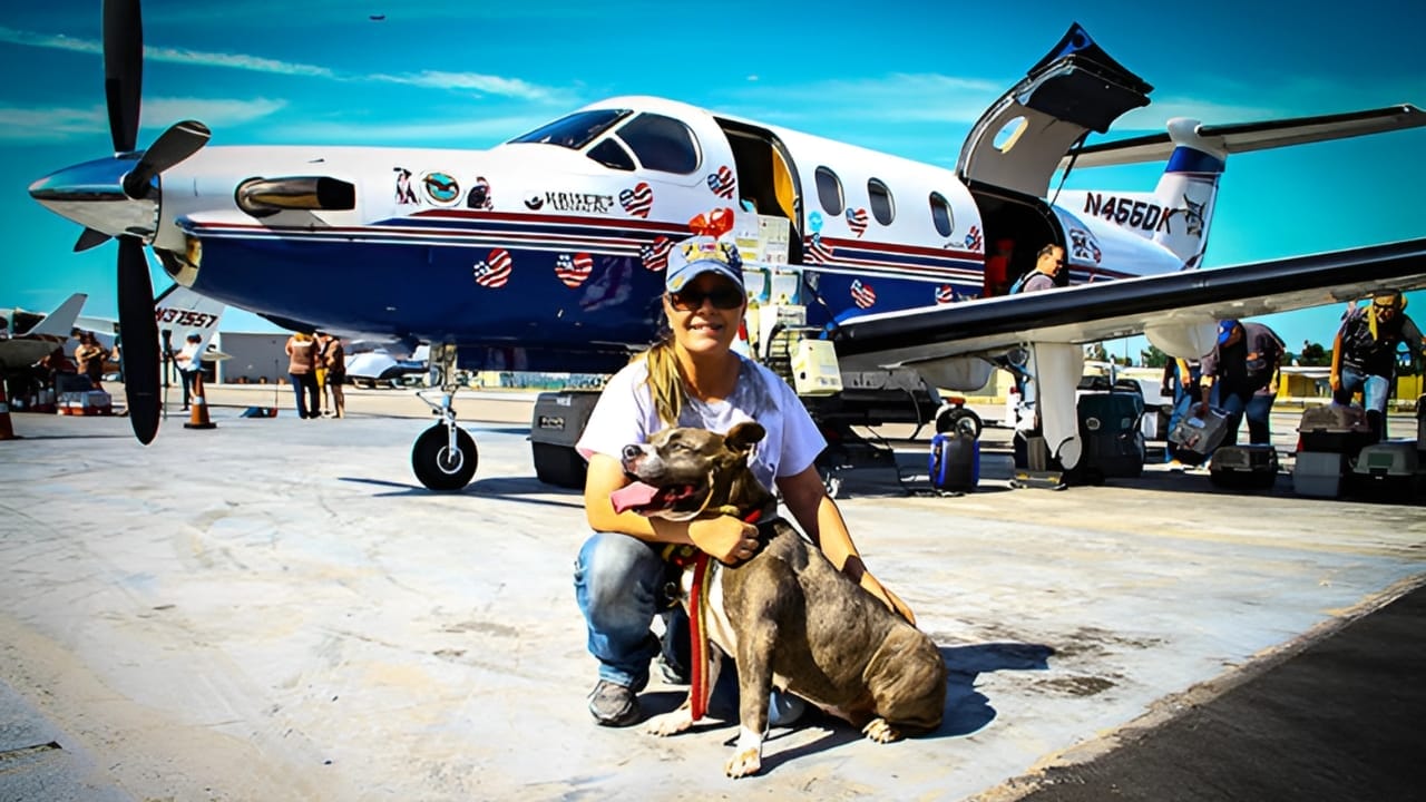 More Than Just for Coffee: 25 Life-Saving Uses for Coffee Filters 26 More Than Just for Coffee: 25 Life-Saving Uses for Coffee Filters - plane animal rescue