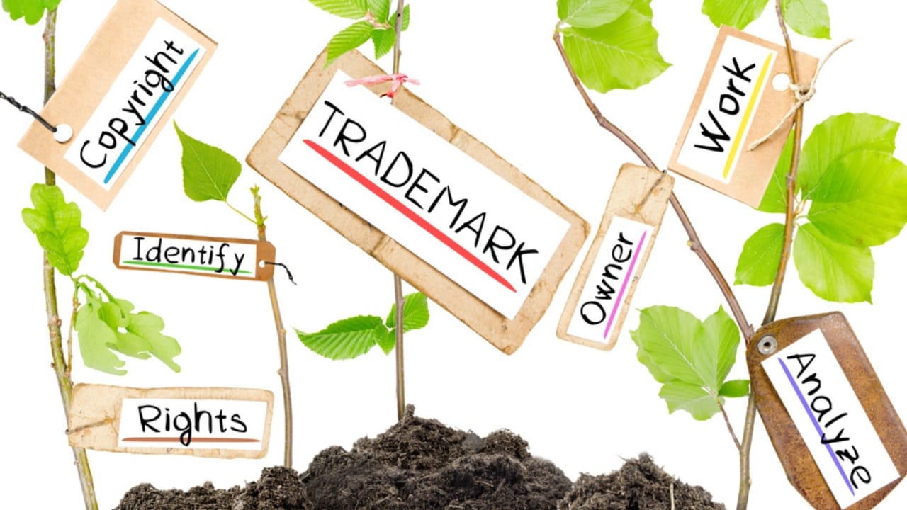 Selling Plants? You Might Be Breaking the Law Without Realizing It 5 Selling Plants? You Might Be Breaking the Law Without Realizing It - plant patent ss436659655