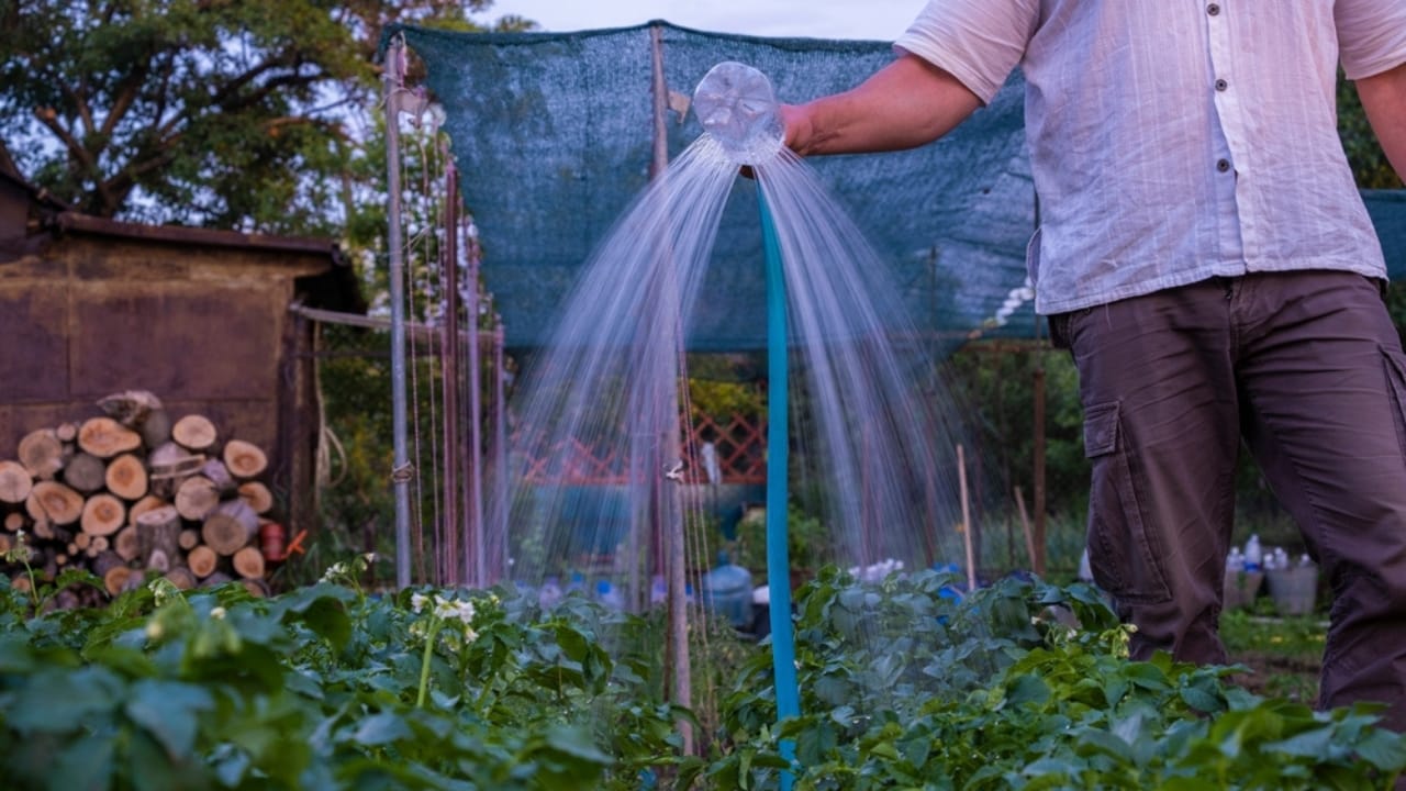 20 Creative Ways to Reuse Plastic Bottles in Your Home, Garden & Crafts 13 20 Creative Ways to Reuse Plastic Bottles in Your Home, Garden & Crafts - plastic bottle sprinkler ss2322634607