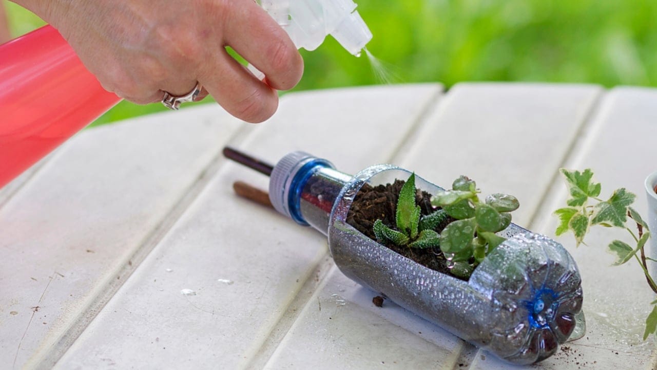 20 Creative Ways to Reuse Plastic Bottles in Your Home, Garden & Crafts - plastic bottle terrarium dp223412036