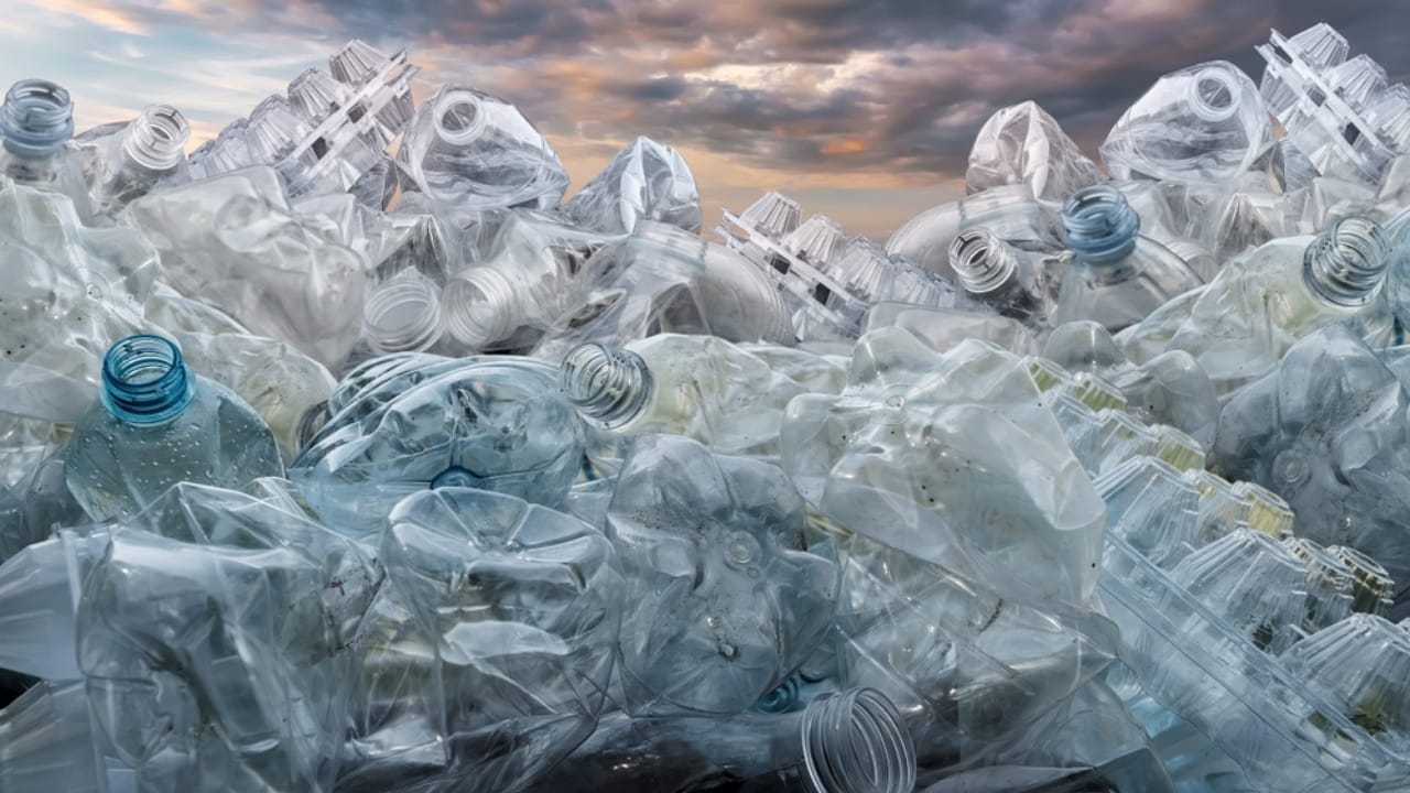 17 Items That Don’t Belong in Your Compost Bin 18 17 Items That Don’t Belong in Your Compost Bin - plastic bottles ss2204303789