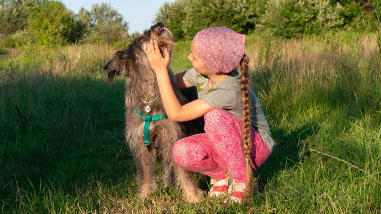 7 Reasons the Polish Lowland Sheepdog Will Win You Over - polish lowland with owner ss2180458227
