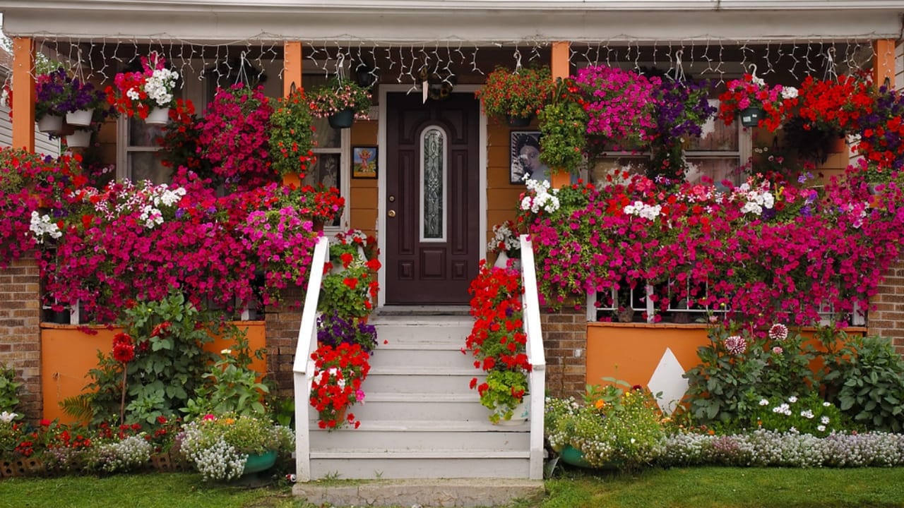 8 Ways to Make Your Porch a Welcoming Outdoor Escape 6 8 Ways to Make Your Porch a Welcoming Outdoor Escape - porch with plants decoration dp14564521