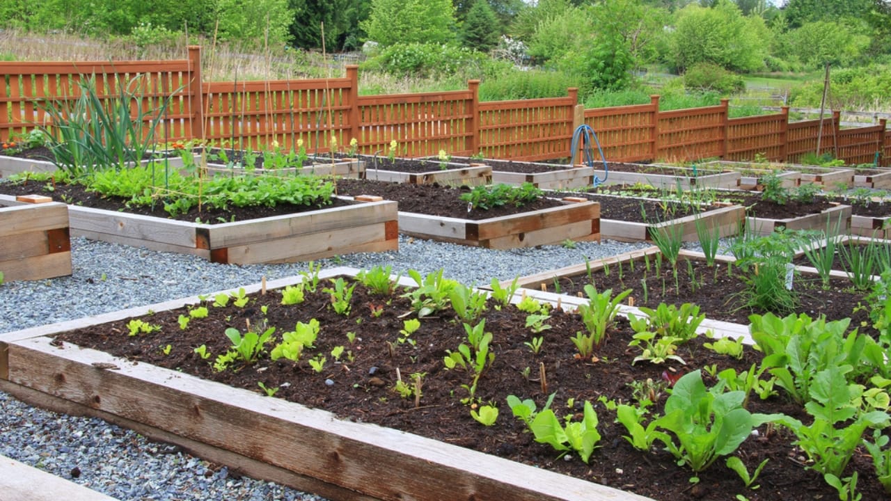 Deer-Proof Your Garden with These 11 Trusted Techniques 10 Deer-Proof Your Garden with These 11 Trusted Techniques - potager garden dp25276097