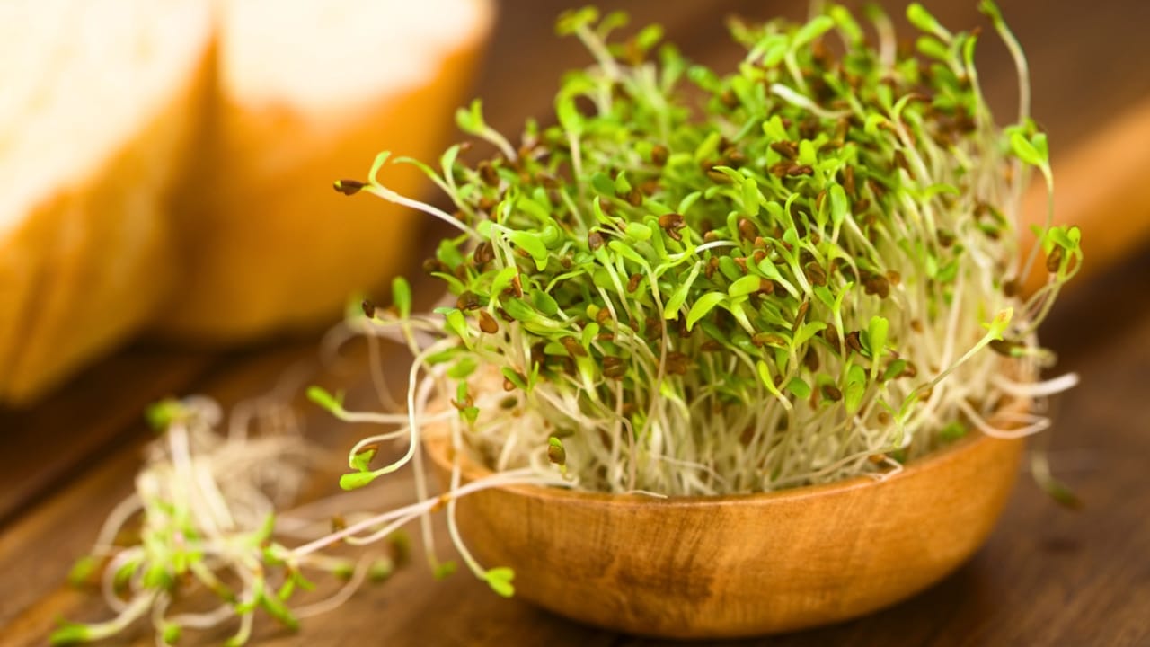 Raw Risks: 15 Foods That Pose Serious Health Hazards When Uncooked - raw sprouts dp31389245