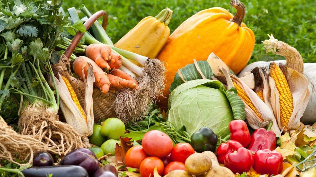 Organic Farming Spurs Evolution in Barley Over 23 Years 9 Organic Farming Spurs Evolution in Barley Over 23 Years - raw vegetables dp4049246