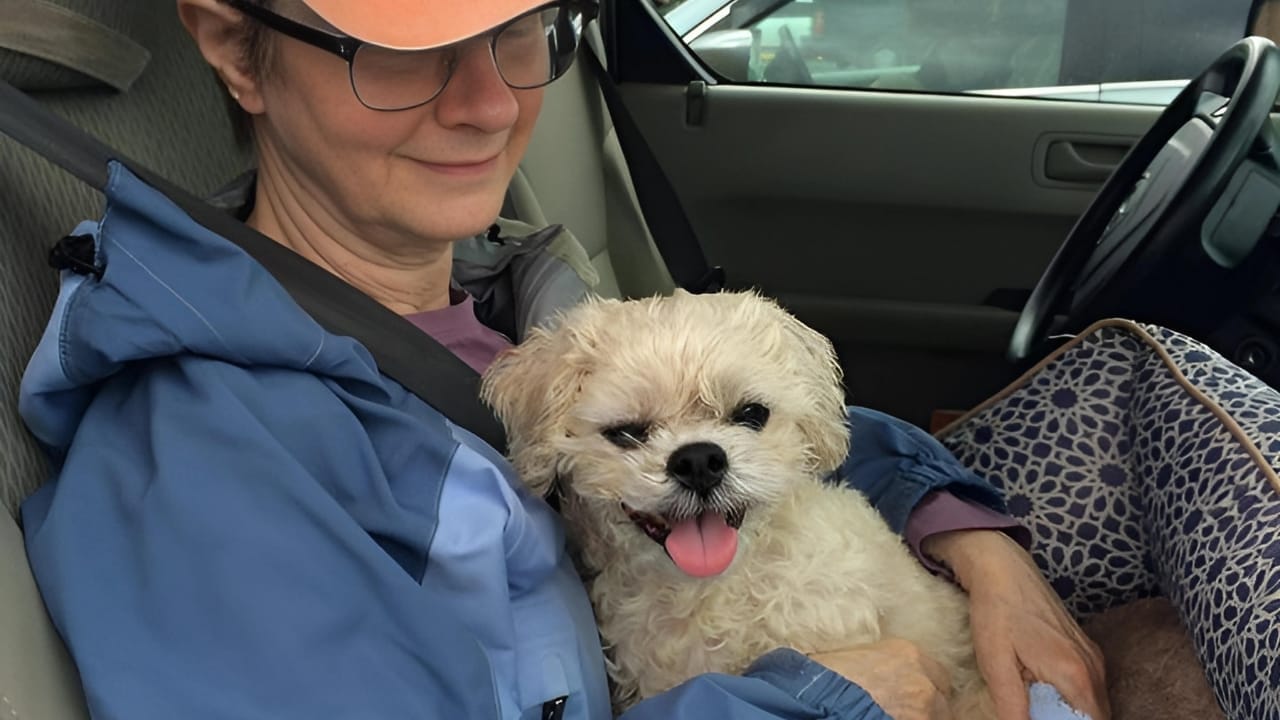 25 Sayings About Old Dogs That’ll Warm Your Heart 9 25 Sayings About Old Dogs That’ll Warm Your Heart - senior rescue 1