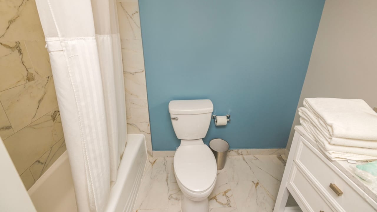 20 Everyday Hydrogen Peroxide Uses Everyone Should Know 13 20 Everyday Hydrogen Peroxide Uses Everyone Should Know - shower curtain dp686951996