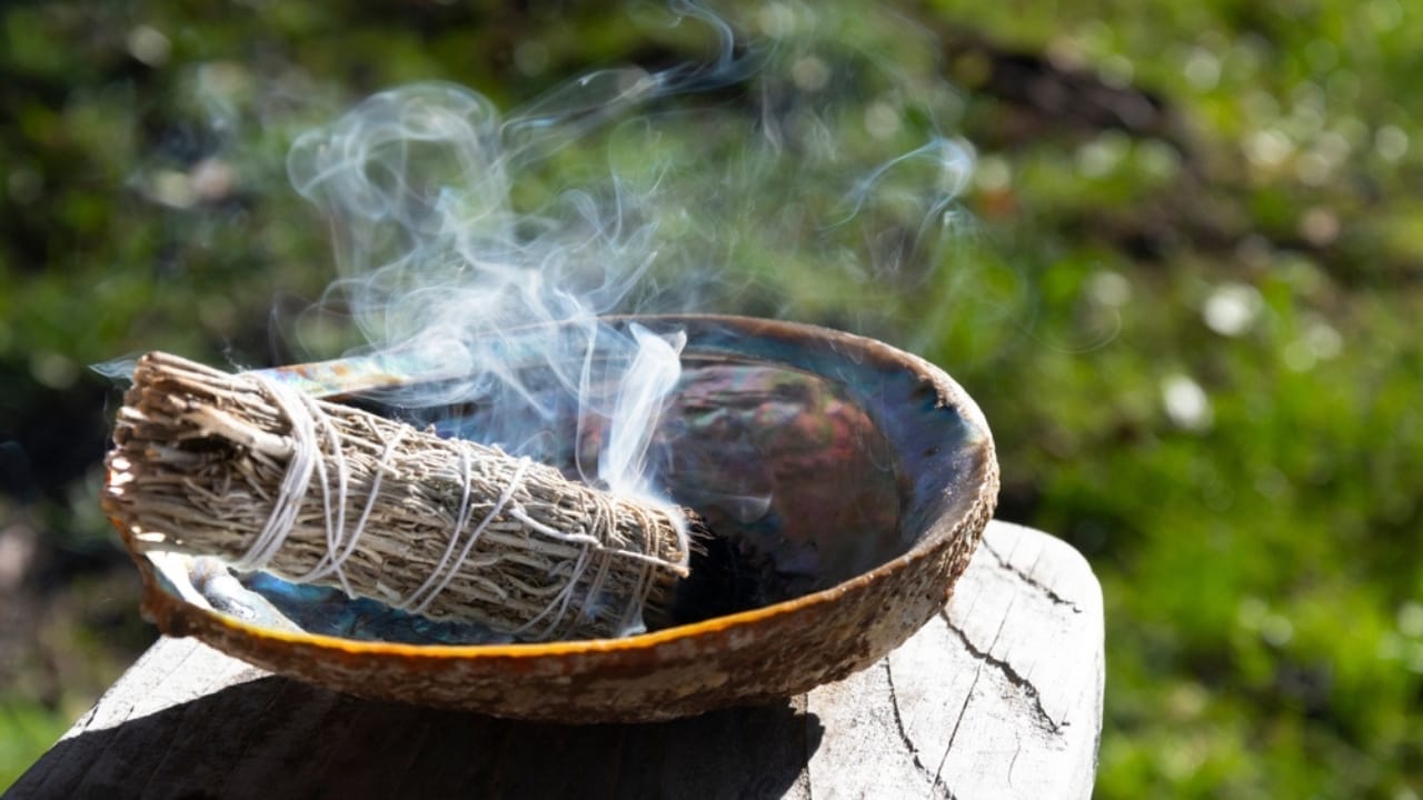 Ancient Ritual Meets Modern Science: Sage Smudging's Impact on Indoor Air Quality - smudging sage ss2262595243