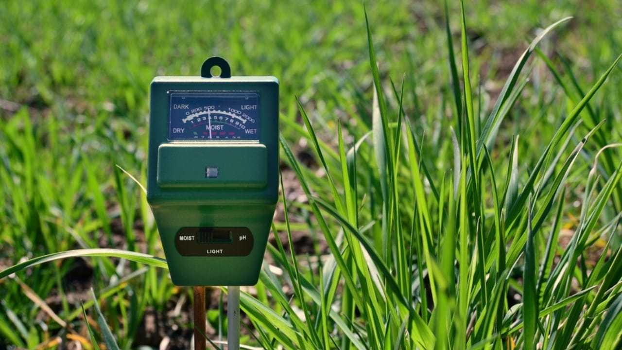 10 Ways to Drive Moles Out of Your Yard for Good 7 10 Ways to Drive Moles Out of Your Yard for Good - soil meter ss2155352949