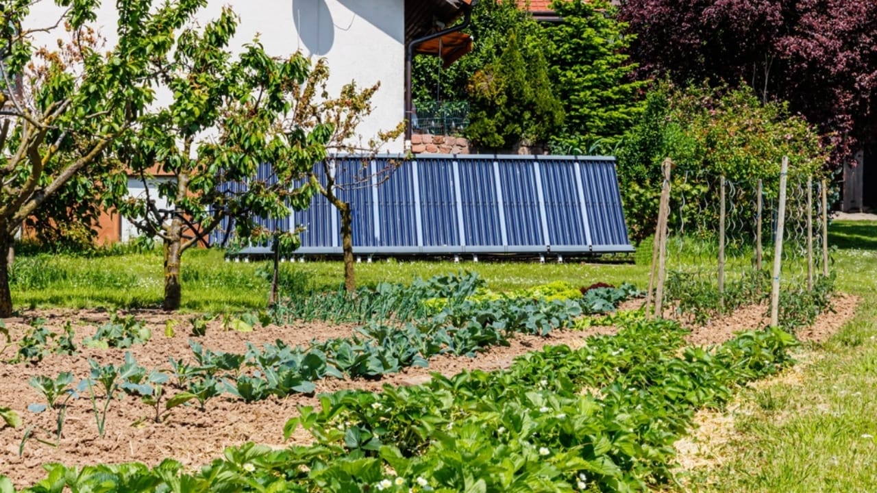 How to Grow More with Less: 12 Permaculture Principles for a Low-Maintenance Garden - solar in garden ss2310496845