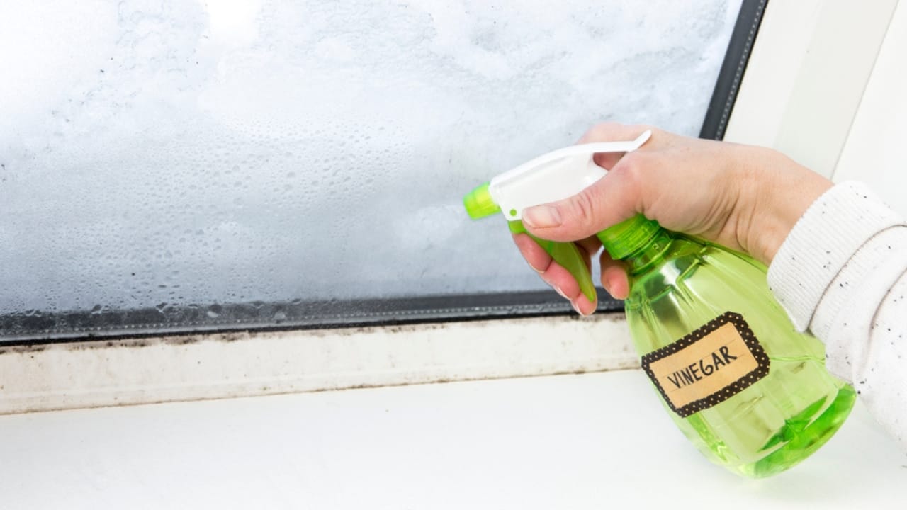 The Vinegar Hack Homeowners are Using to Beat Ants - spray vinegar ss1296122290