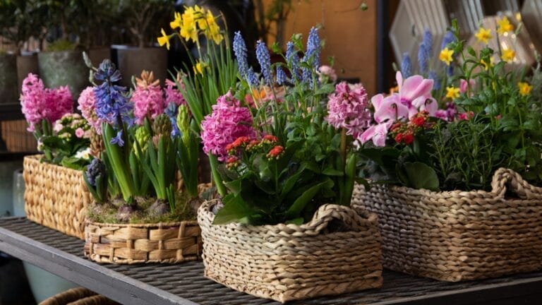 Turn Old Wicker Baskets into Beautiful Bouquets for Your Home 5 Turn Old Wicker Baskets into Beautiful Bouquets for Your Home - spring mood baskets ss1924566794