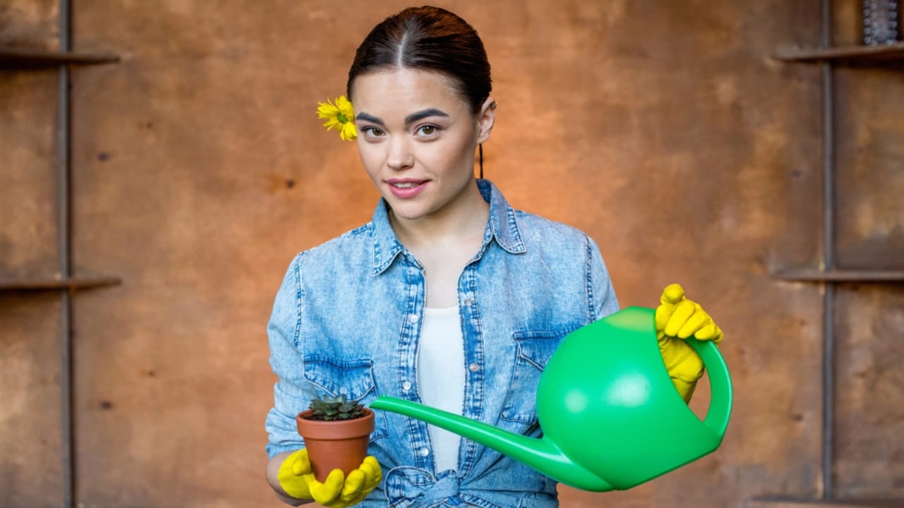 13 Things Succulent Owners Never Warn You about (but Should) 14 13 Things Succulent Owners Never Warn You about (but Should) - succulent water dp140977116